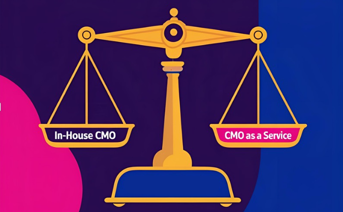 weighing in cmo vs fractional CMO